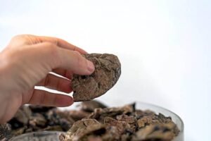 Natural Turkey Liver Dog Treats: A Healthy, Protein-Packed Reward for Your Pet