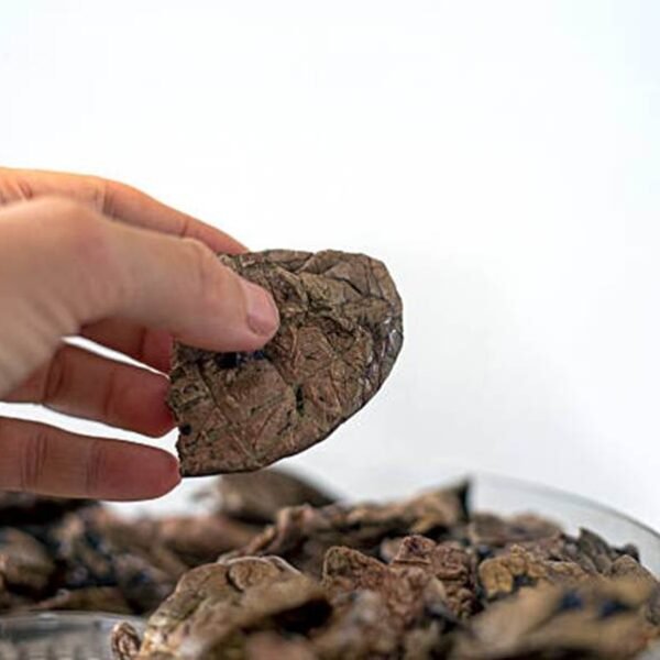 Natural Turkey Liver Dog Treats: A Healthy, Protein-Packed Reward for Your Pet