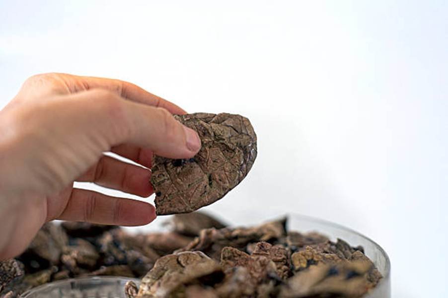 Natural Turkey Liver Dog Treats: A Healthy, Protein-Packed Reward for Your Pet